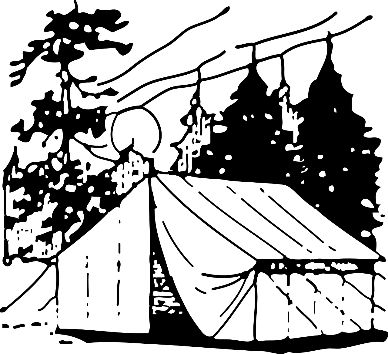雏见怜最新动态，探索与发现之旅