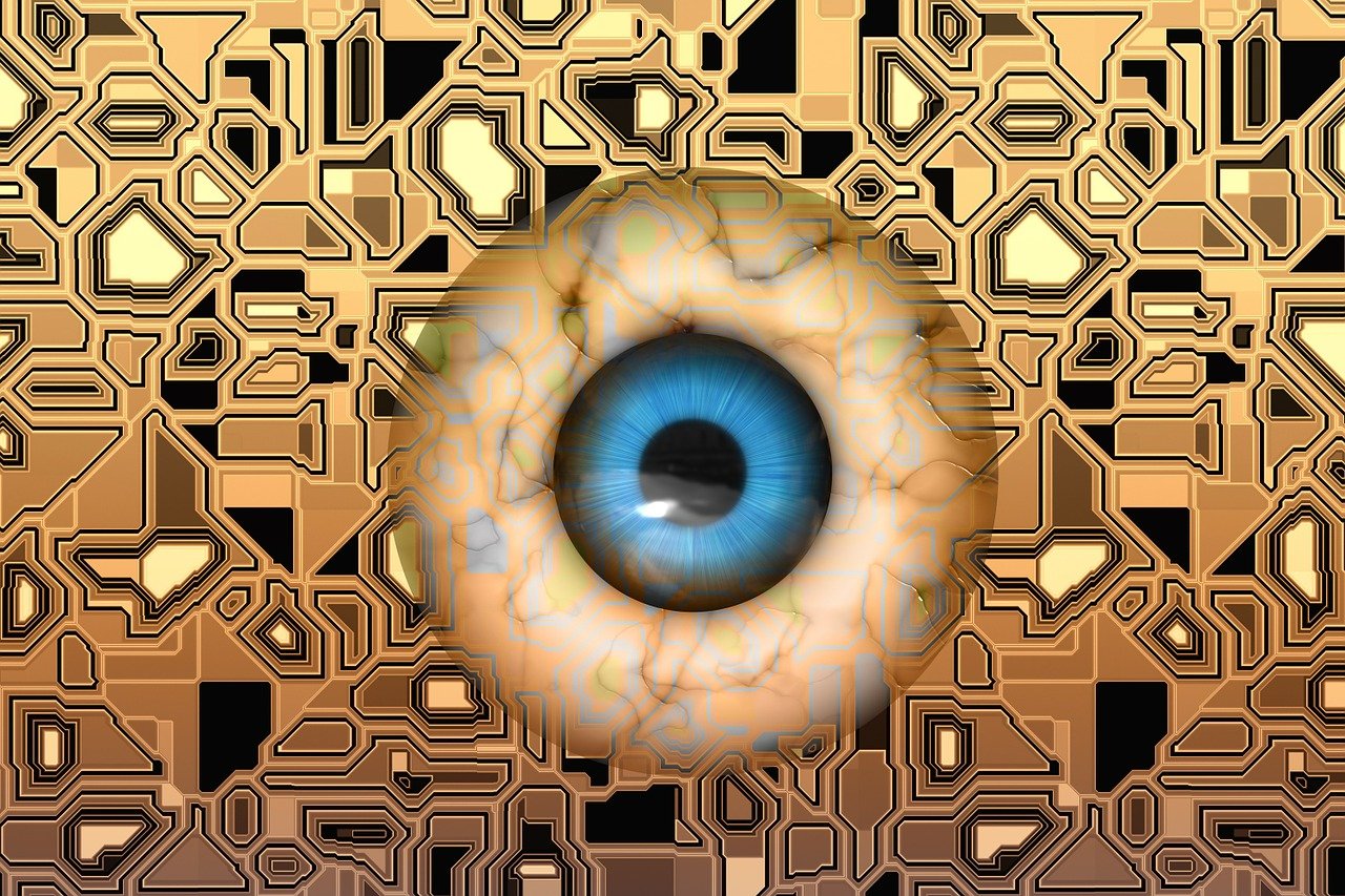 萨瓦娜最新动态，探索前沿领域的新篇章，揭示影响力