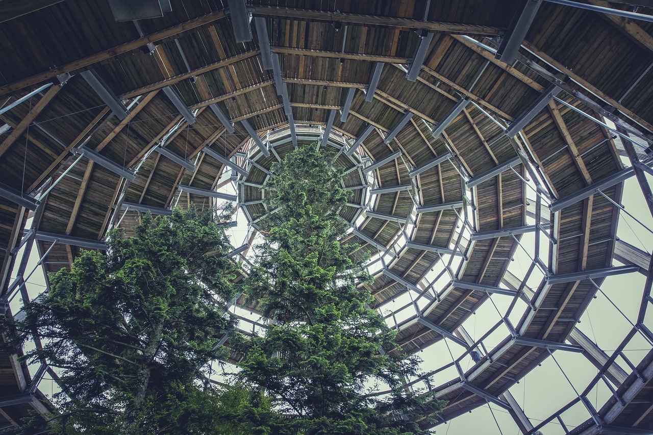楼梯最新款，设计趋势与创新理念概览
