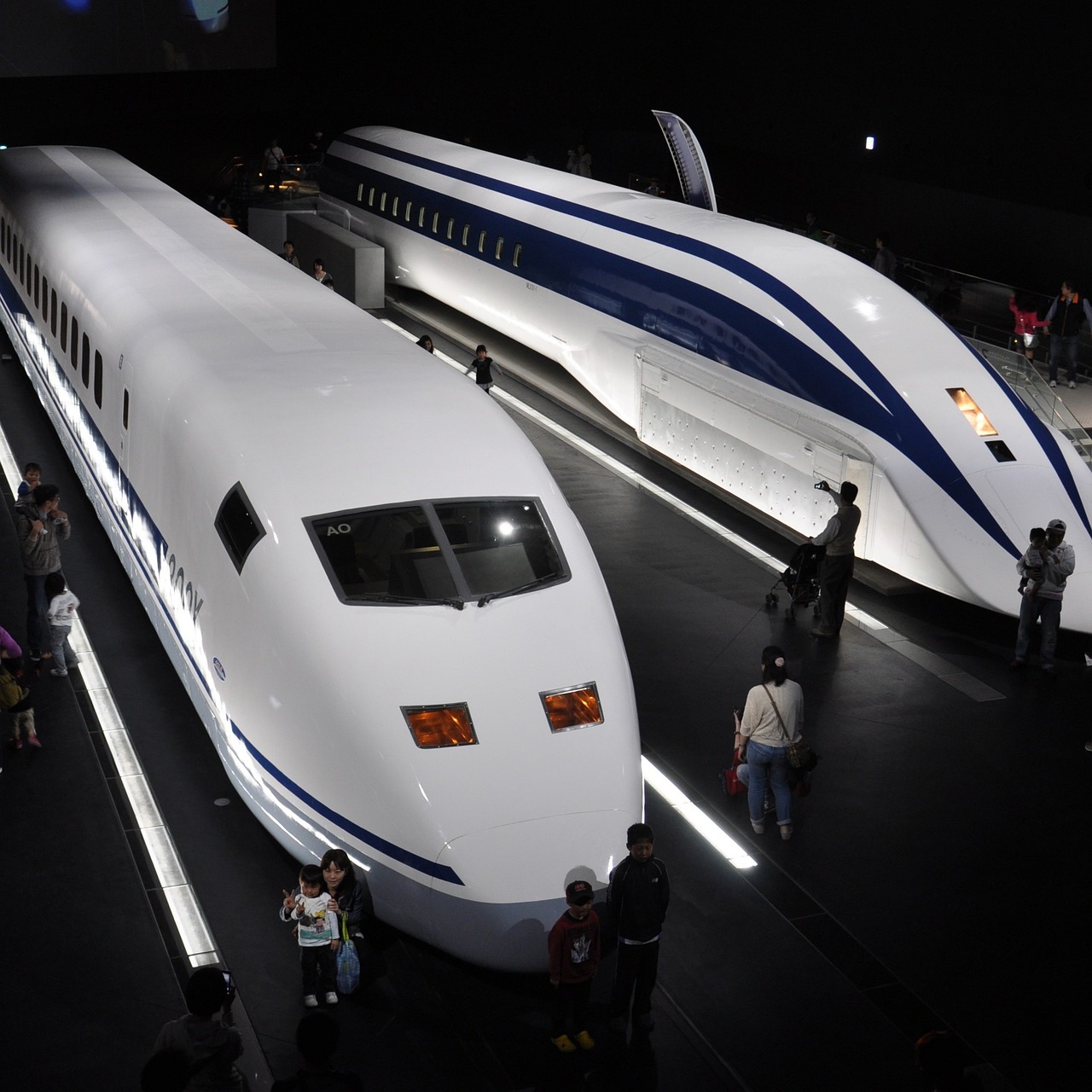 最新日本游轮，探索海洋之美的全新旅程