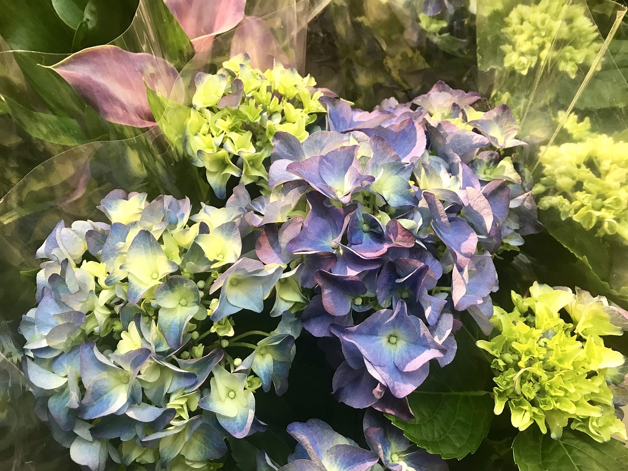 花花最新附魔，游戏世界里的魔法奇迹