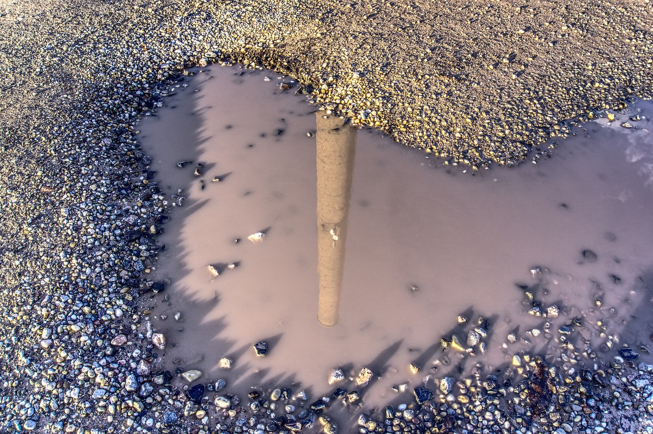 胖绿龙最新动态，探索突破之路