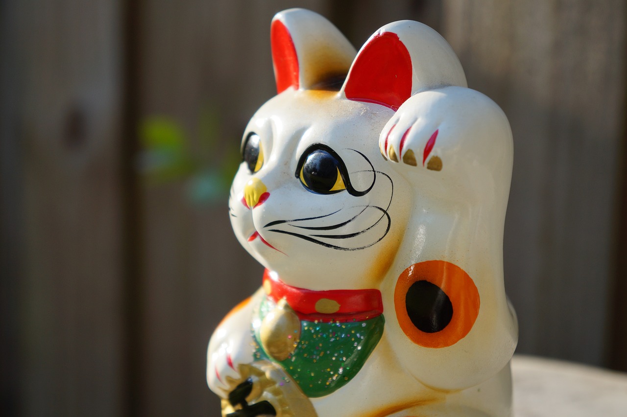 探索猫咪网页最新域名，无限乐趣的猫的世界