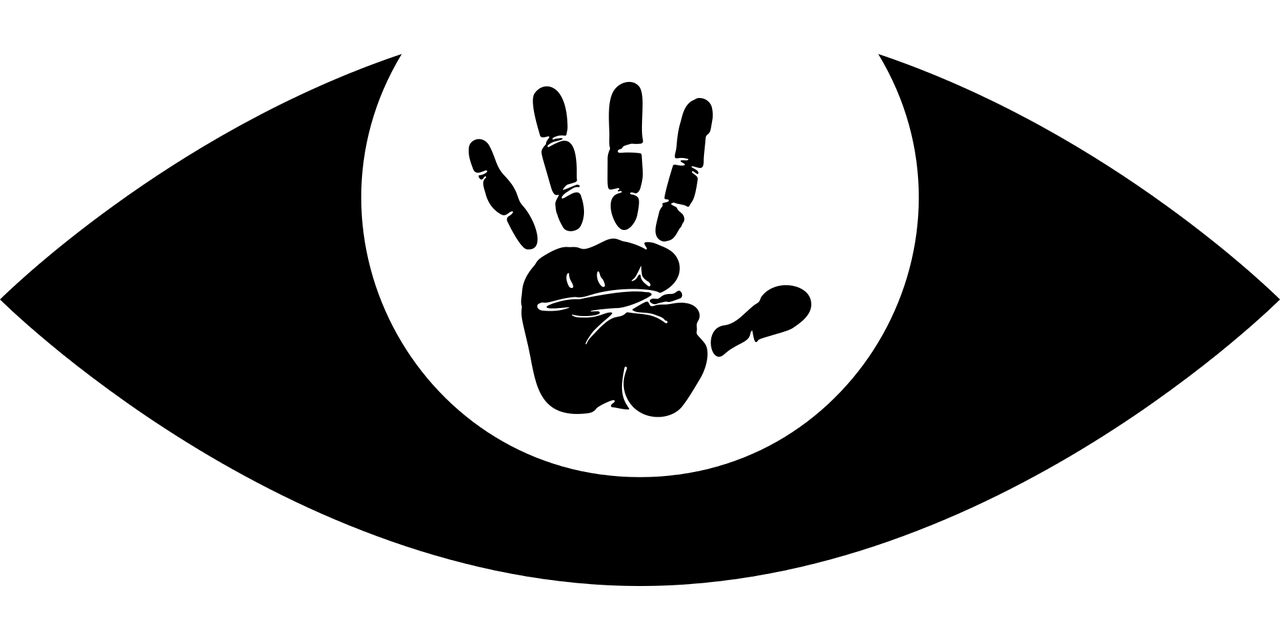 权珍雅最新动态，闪耀之星持续闪耀