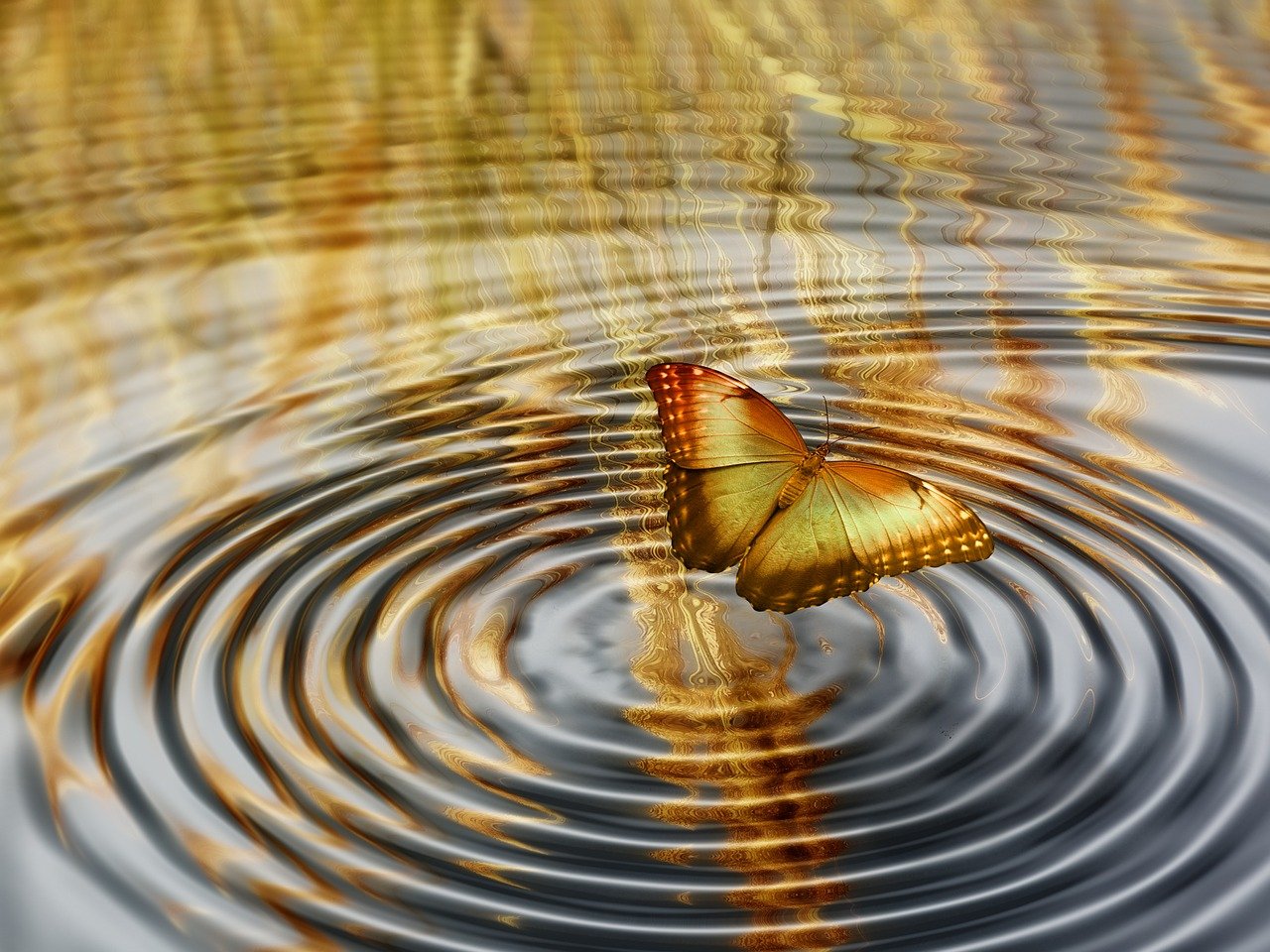 完美的夏天最新篇章，享受夏日的独特魅力