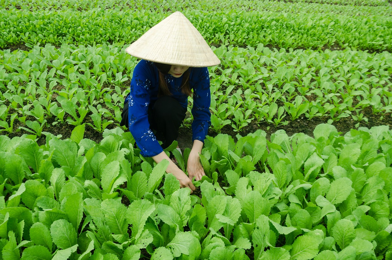 尽力讨好 第18页