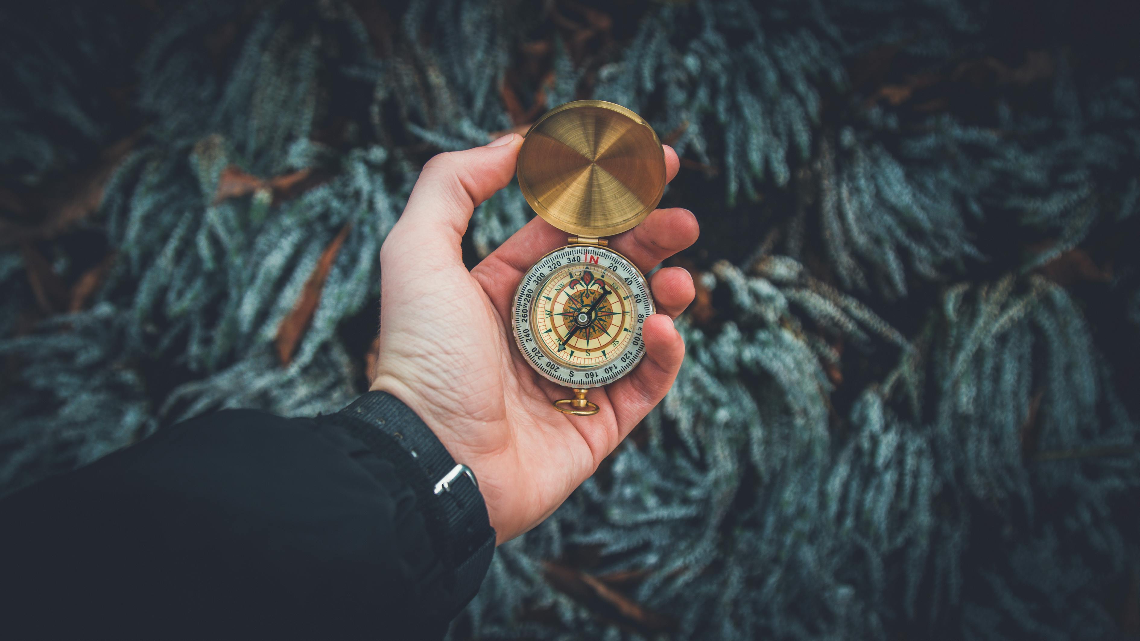 黄金最新手编，探索黄金手编的无限魅力和独特价值