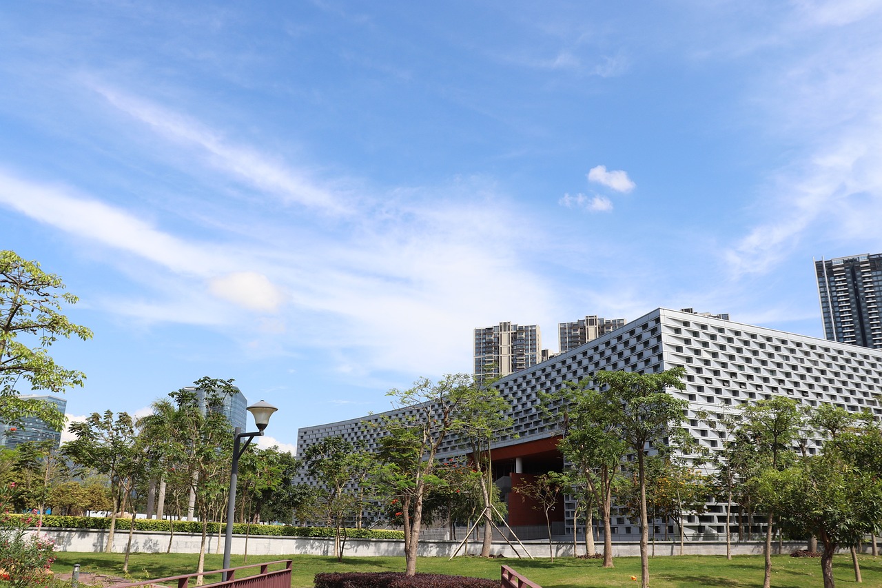 深圳最新鸟洞，自然与城市的完美融合之处